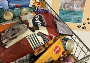 Zbiórka karmy dla zwierząt