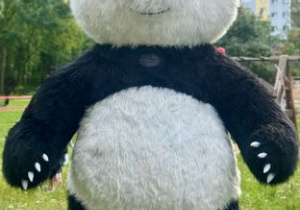 Wielka maskotka - panda
