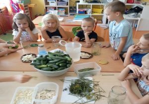 Dzieci poznają proces kiszenia ogórków.