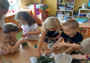 Dzieci poznają proces kiszenia ogórków.